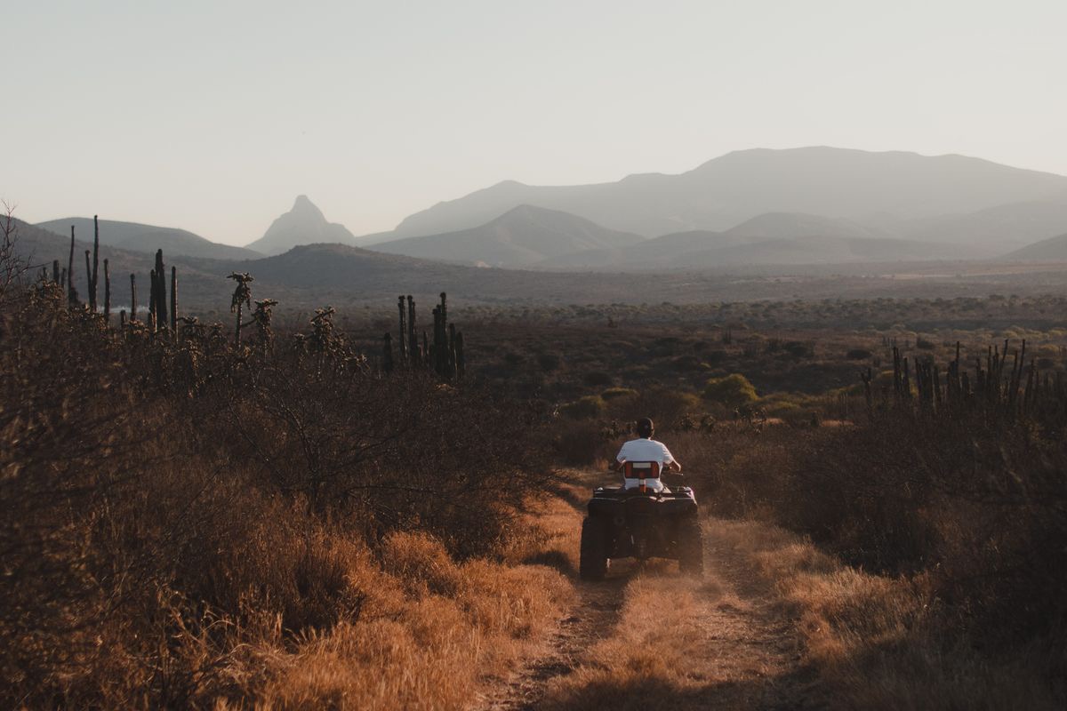 Quad & Buggy mieten auf Fuerteventura